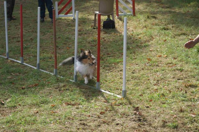 foire-haricots 2011-09-17et18